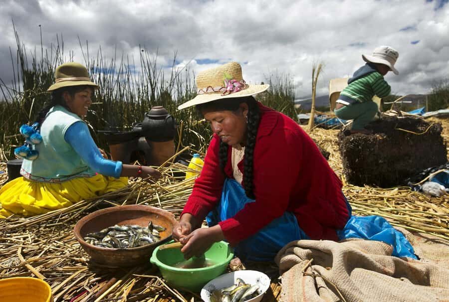 Half-Day Uros Floating Islands Tour from Puno - Crossing Lake Titicaca: The Cruise That Sets the Mood