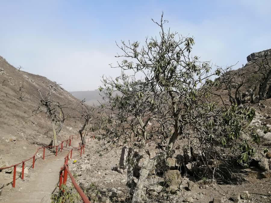 Hiking Lomas de Lachay in Lima - Who should book this hike—and who might not love it