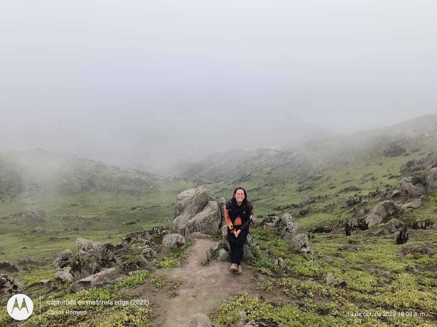Hiking Lomas de Lachay in Lima - Why Lomas de Lachay feels like a living desert oasis outside Lima