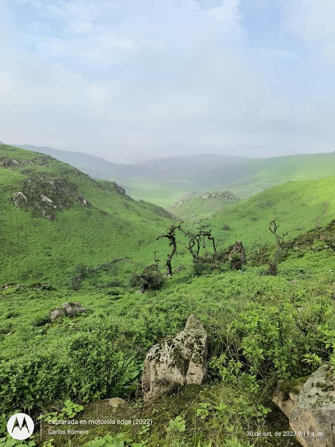 Hiking Lomas de Lachay in Lima - Getting ready: what to pack for sun, dunes, and comfort