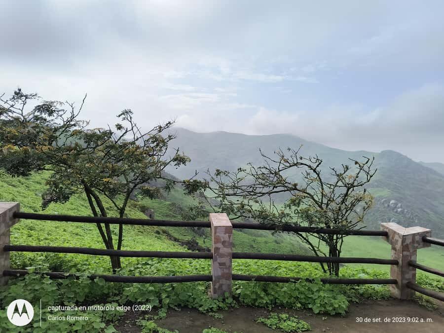 Hiking Lomas de Lachay in Lima - Guides in English and Spanish: how the answers can shape your day
