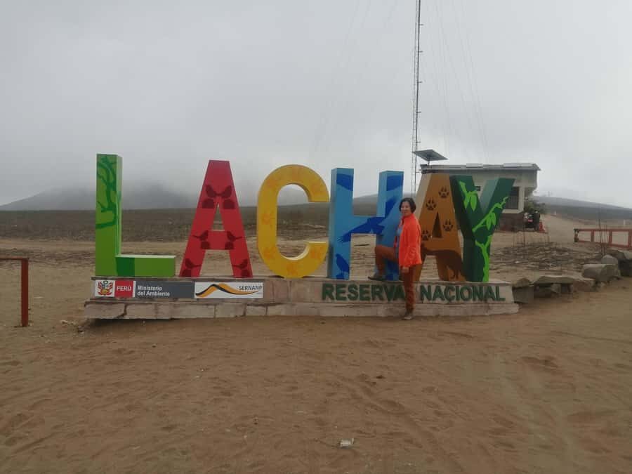 Hiking Lomas de Lachay in Lima - The early morning rhythm: 5–5:15 pick-up and a full 10-hour day