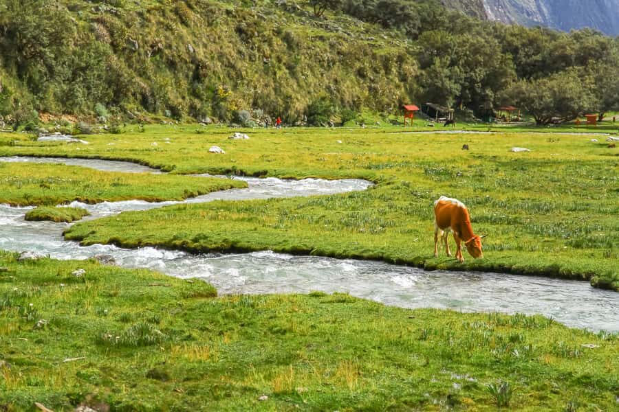 Huaraz: 3-hour Trek to Laguna 69 with Optional Lunch - Price and logistics: does $265 feel fair?