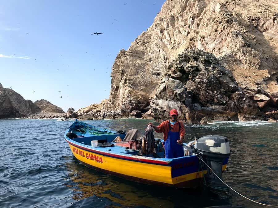 Ica: Ballestas Island & Paracas Reserve Private Tour - Key Points to Know Before You Go