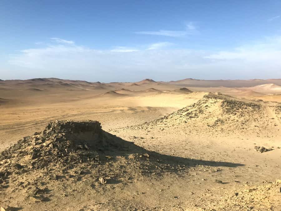 Ica: Ballestas Island & Paracas Reserve Private Tour - Should You Book This Ica: Ballestas Island & Paracas Reserve Private Tour?