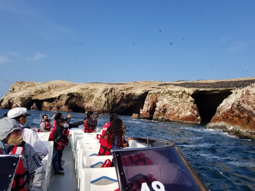 Ica: Ballestas Island & Paracas Reserve Private Tour - Price and Entrance Fees: Value Breakdown (and How to Avoid Surprises)