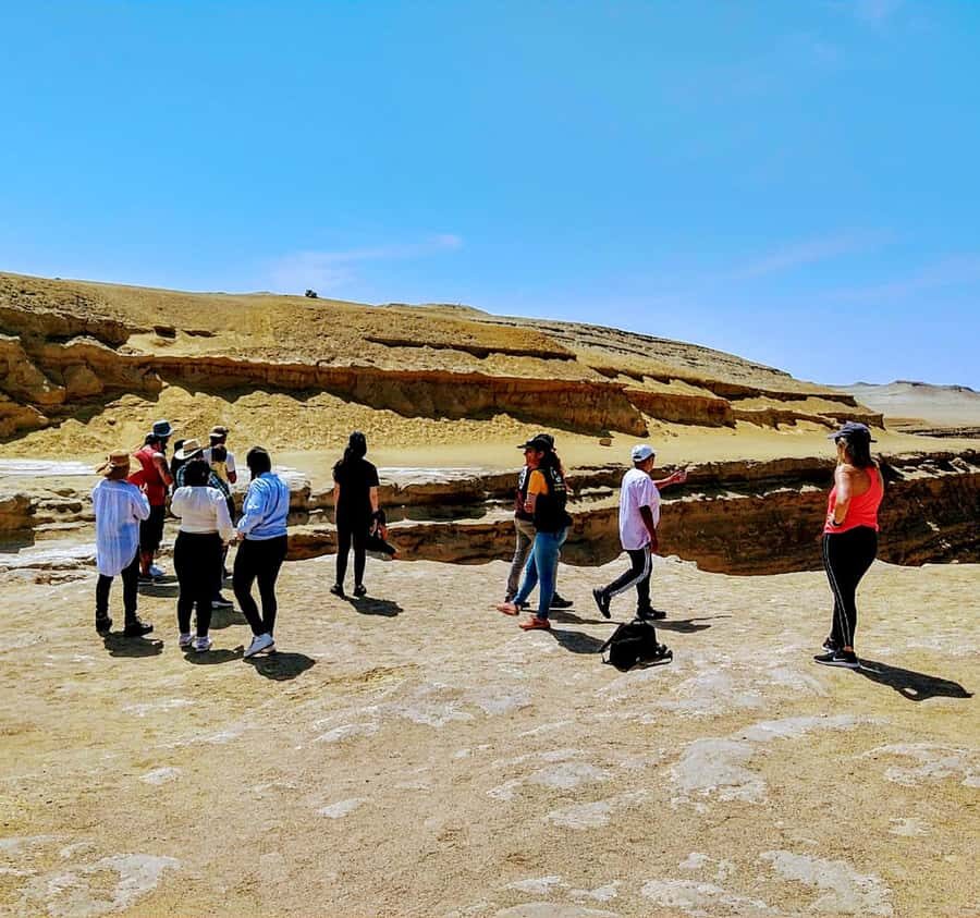Ica: Canyon of the Lost Tour in Ocucaje Desert - Price and Value: What $44 Gets You (and What It Doesn’t)