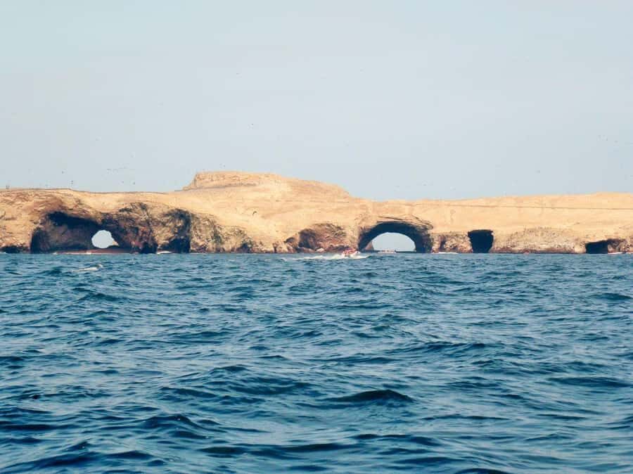 Ica: Excursion Ballestas Islands & Paracas National Reserve - Key Points That Matter