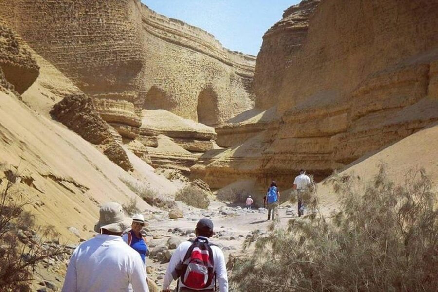 Ica / Huacachina : Canon de los Perdidos - Ica's Hidden Gem - Leaving the Canyon: Ica City and the Pisco/Wine Break