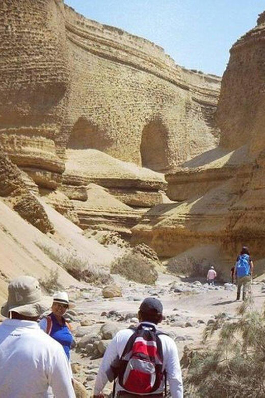 Ica / Huacachina : Canon de los Perdidos - Ica's Hidden Gem - Who This Tour Suits Best