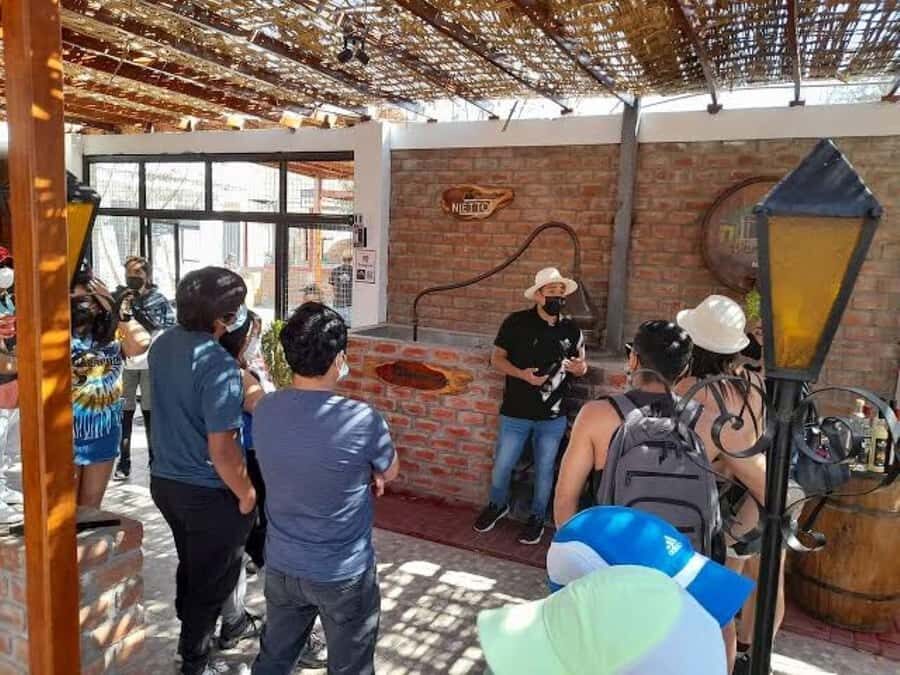 Ica: Tacama Winery and Pisco Tasting Tour with Hotel Pickup - Key things I’d zero in on before you book