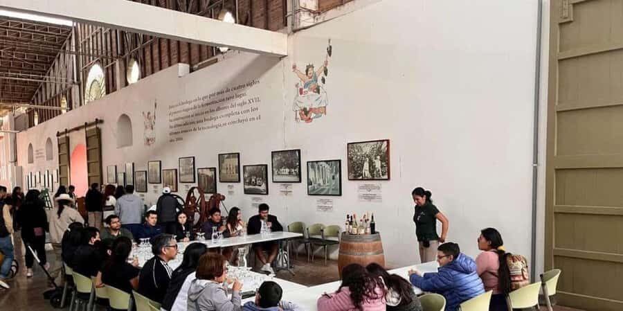 Ica: Tacama Winery and Pisco Tasting Tour with Hotel Pickup - Ica’s pisco trail in a small group (and why that matters)