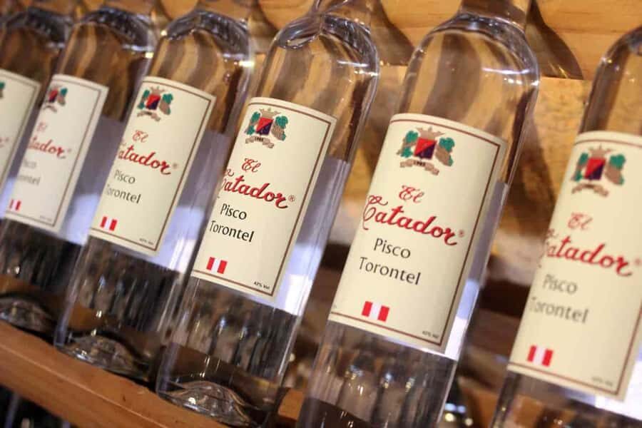 Ica: Tacama Winery and Pisco Tasting Tour with Hotel Pickup - Price and value: does $35 per person make sense?