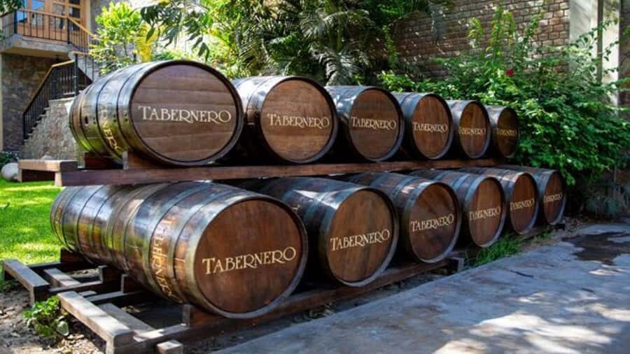 Ica: Winery Tour with Pisco and Wine Tasting - A quick Ica pickup and the 150-minute pacing that works