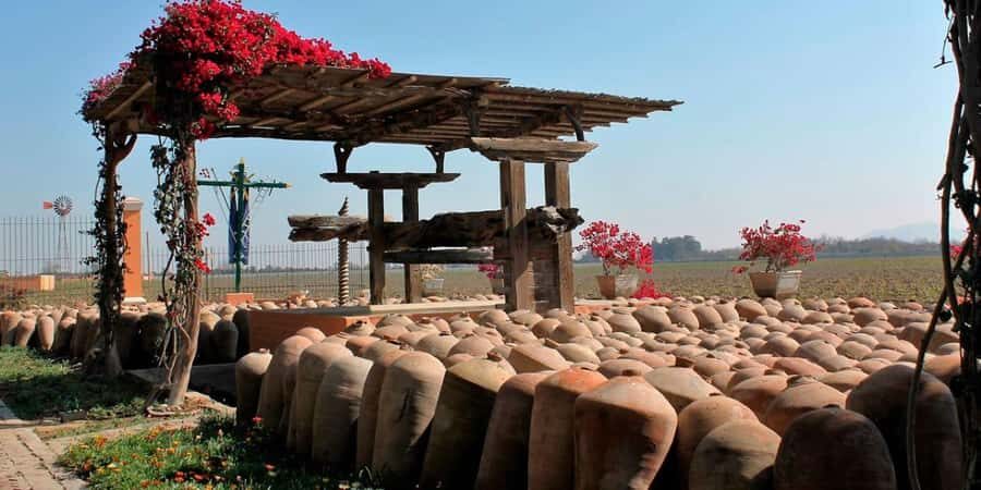 Ica: Winery Tour with Pisco and Wine Tasting - Lazo Winery Museum: mummified trophy heads and pre-Hispanic art craft