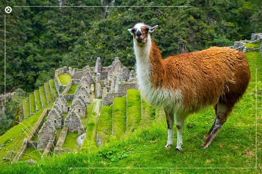 Inca Trail 2 days to Machu Picchu - Day 1: Cusco to Chachabamba, Wiñayhuayna, and the Route Toward Inti Punku