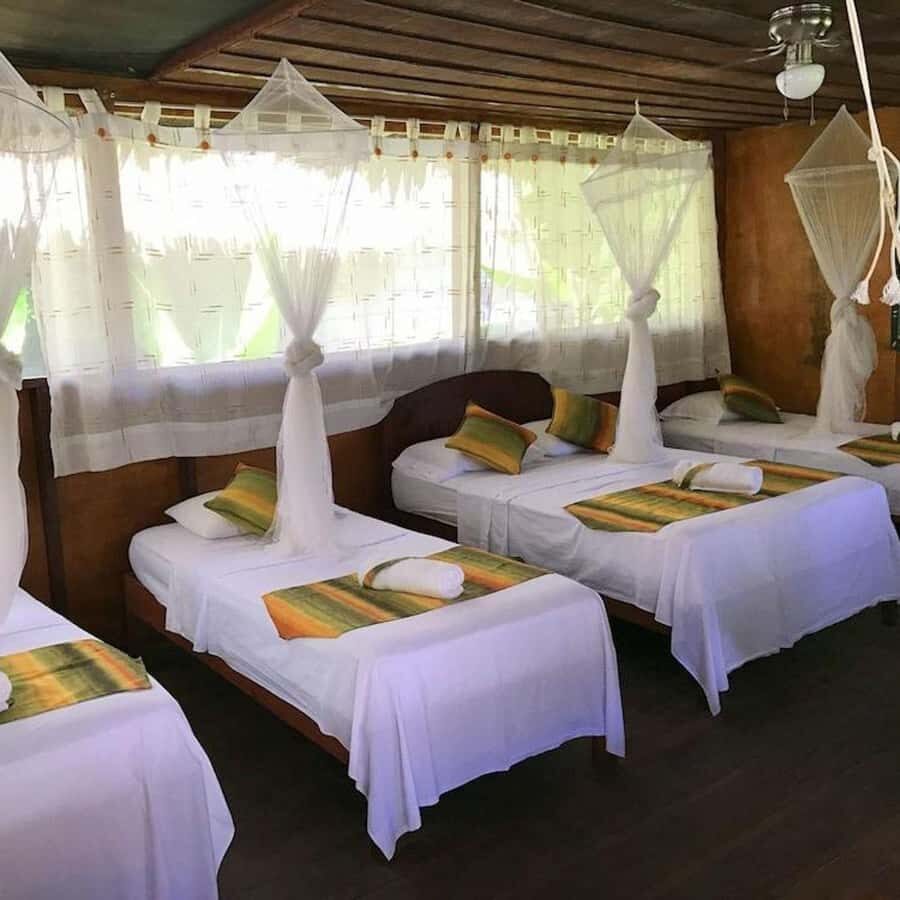 Iquitos: 2 Days and 1 Night Guided Amazon Jungle Tour - Nightfall jungle walk: tarantulas, owl calls, and the ayaymamas