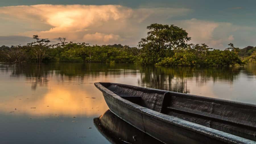 Iquitos: 2 Days and 1 Night Guided Amazon Jungle Tour - Free-animal reserve: macaws, monkeys, sloth bears, and snakes