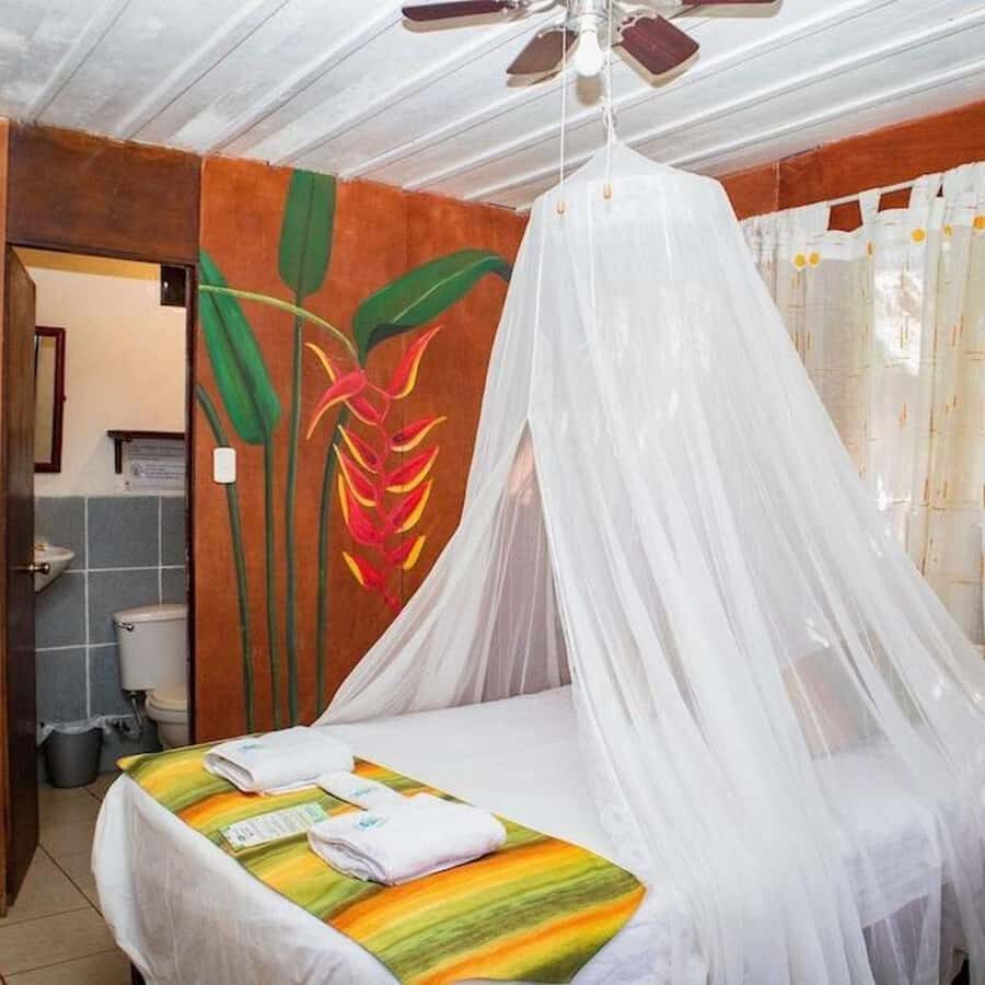 Iquitos: 3 Days and 2 Nights Guided Amazon Jungle Tour - Dolphins on the Amazon: pink and grey sightings