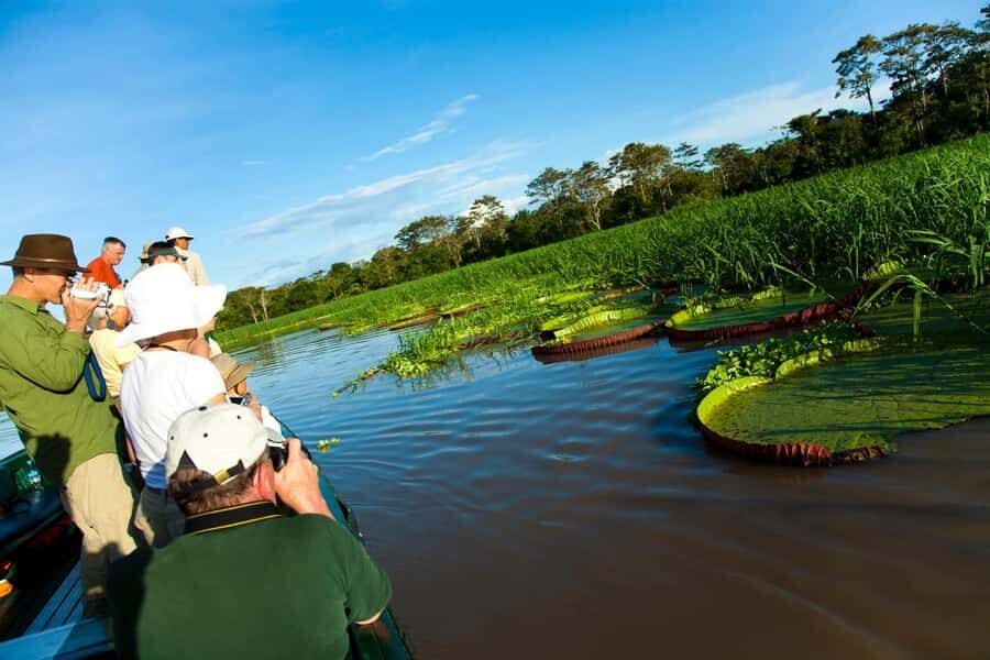 Iquitos: 3 Days and 2 Nights Guided Amazon Jungle Tour - Day 3 trek: the Ceiba de la Selva (Huimba) tree
