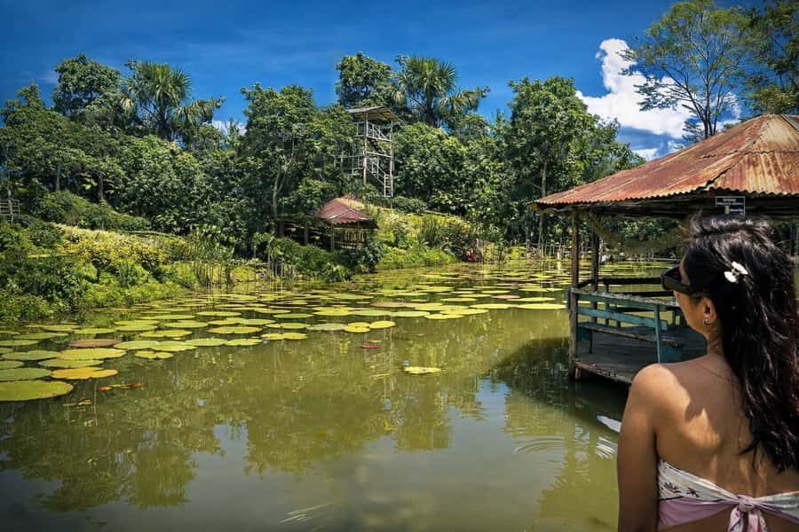 Iquitos: 6-Hour Wonderful Wildlife Guided Tour - Amazon viewpoint and hammocks: the stop that makes it all click