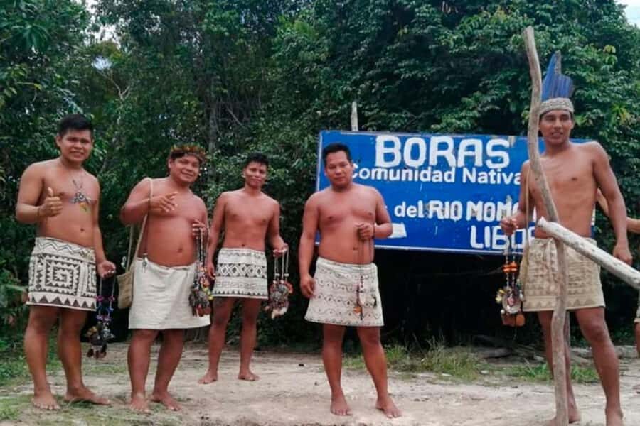 Iquitos: Amazon Jungle in 3 Days: Adventure and Culture - Wildlife Encounters: What You’ll Actually See (and How to Prepare)