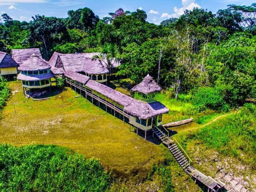 Iquitos : Full Day Excursion to Monkey Island - Fundo Pedrito Wildlife Stop: Where the Amazon Shows Off