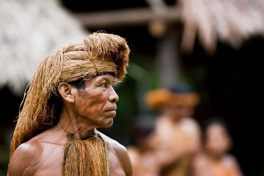 Iquitos: Full Day Tour in the Jungle | Amazon Safari - Wildlife Rescue Center Fundo Rony: what you’ll learn (and what to ask)