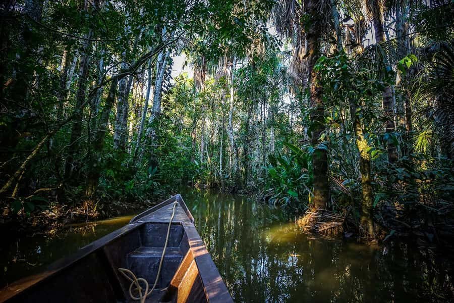 Iquitos: Full Day Tour in the Jungle | Amazon Safari - Amazonian trapiche tasting: camu camu, seven roots, ginger