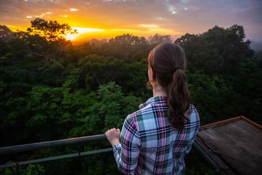 Iquitos: Full Day Tour in the Jungle | Amazon Safari - Dolphins on the Amazon: gray or pink sightings, real expectations