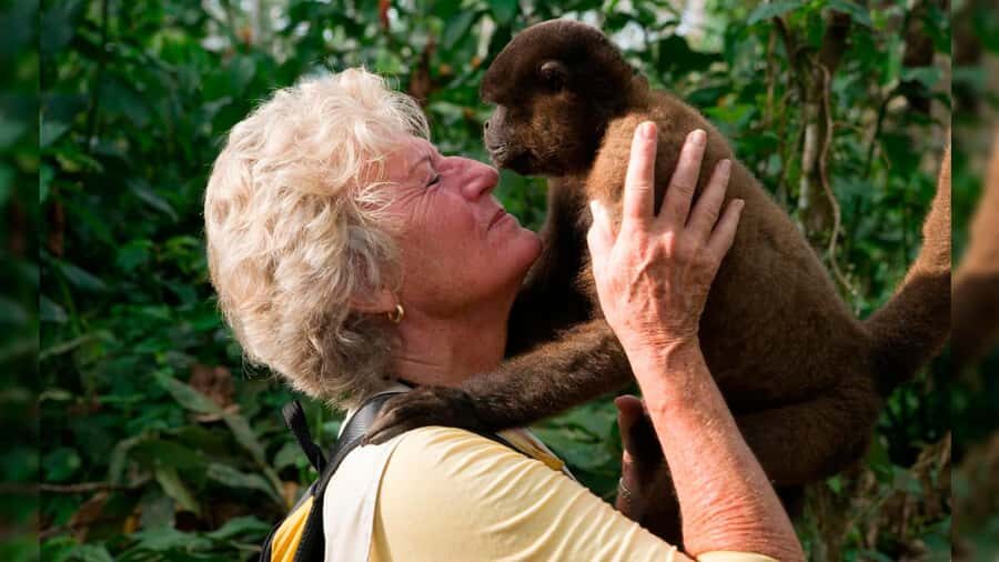 Iquitos: Monkey Island and Native Village Day Tour - Monkey Island (Isla Rolling): What “rescued and rehabilitated” really means