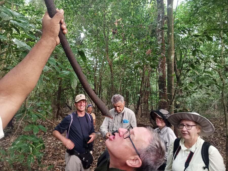 Iquitos: nature and adventure tour amazon Peru - From Loreto to Pacaya Samiria: the day’s structure in real life