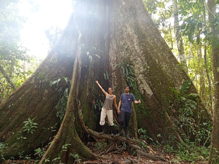 Iquitos: nature and adventure tour amazon Peru - Wildlife on your schedule: hikes, canoe time, and real sightings