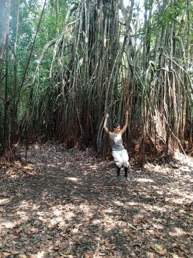 Iquitos: nature and adventure tour amazon Peru - Sport fishing for piranhas: fun, fast, and very Amazon
