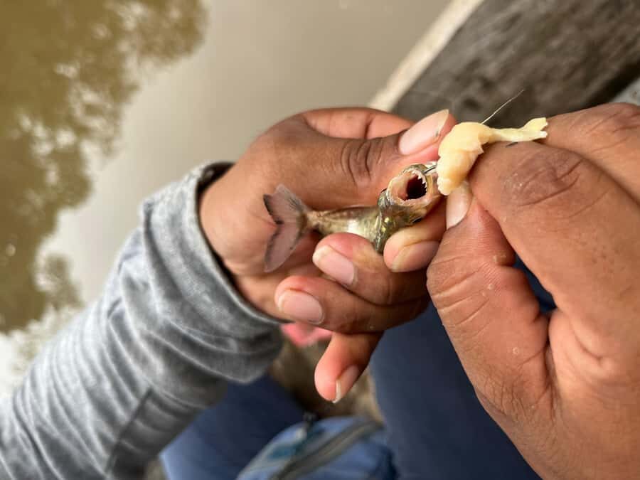 Iquitos: Piranha Fishing Experience in the Amazon jungle - Pack Smart for River Time: What to Bring