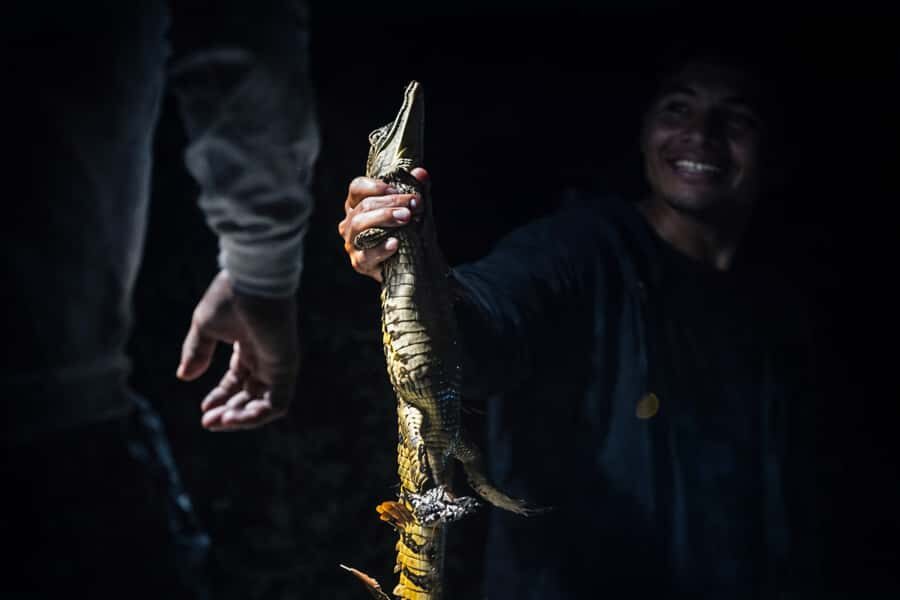 Iquitos to the Amazon: 2-Day Jungle & Wildlife Experience - Should you book Yakumama’s Iquitos to the Amazon 2-day trip?