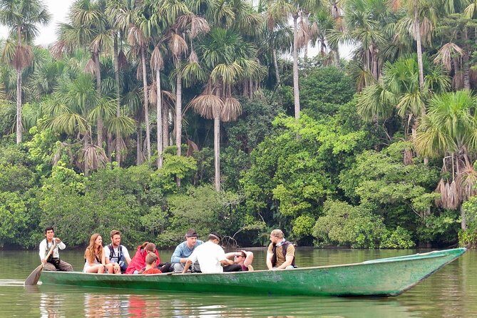 Jungle Eco Jungle And Adventure - 4 Days / 3 Nights - Puerto Maldonado to the Tambopata Forest: what this 4-day rhythm is like