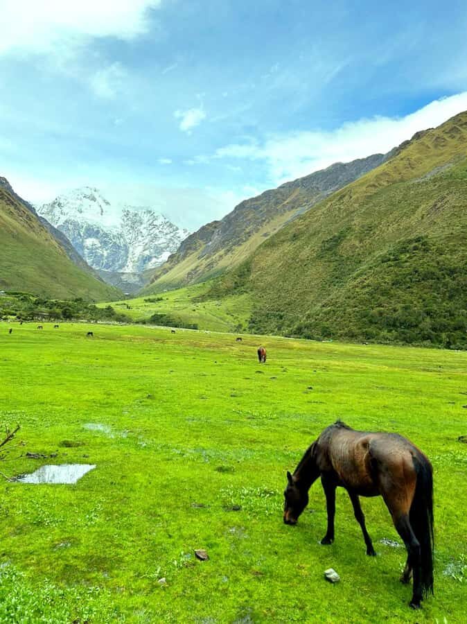Lagoon Humantay. Full Day Tour with Breakfast and Lunch - The Soraypampa hike: easy-ish, but still a mountain walk