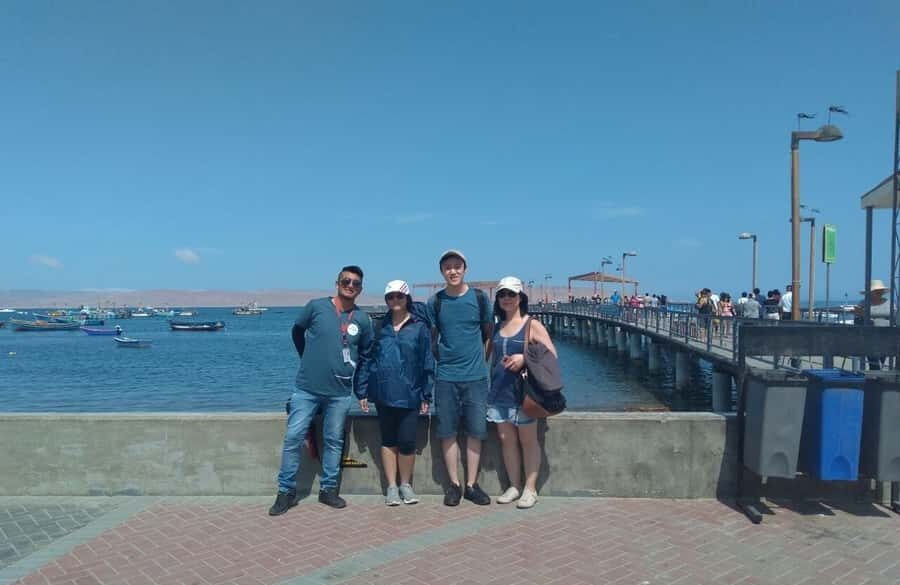 Lima: Ballestas Islands, Huacachina Oasis & Nazca Lines Tour - Ballestas Islands: Wildlife Up Close, Not Just From a Shore