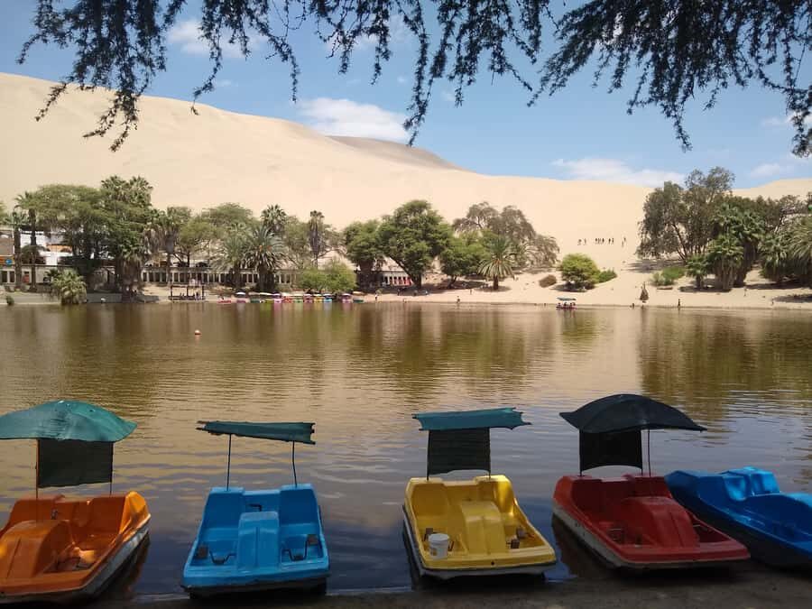 Lima: Ballestas Islands, Huacachina Oasis & Nazca Lines Tour - Huacachina Oasis: Sandboarding and a V8 Buggy Ride