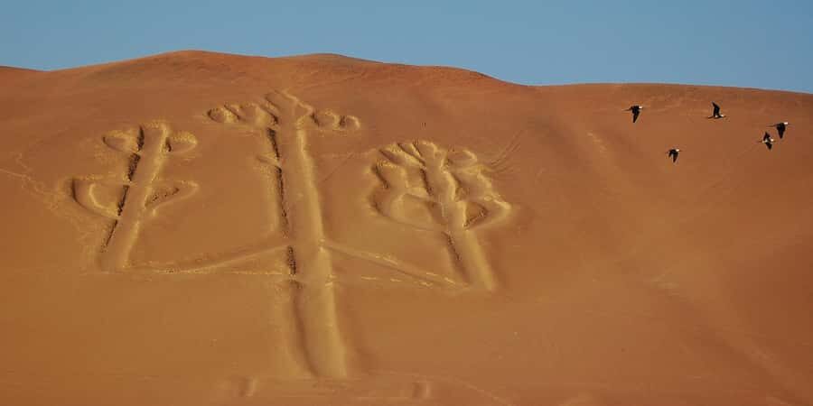 Lima: Ballestas Islands, Winery and Nazca Lines Private Tour - A 4:30 AM Start That Makes Sense (Even If It’s Early)