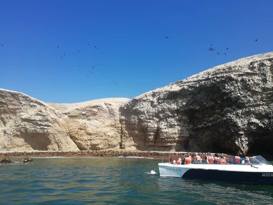 Lima: Ballestas Islands, Winery and Nazca Lines Private Tour - Paracas National Reserve: Coast Views With a Purpose