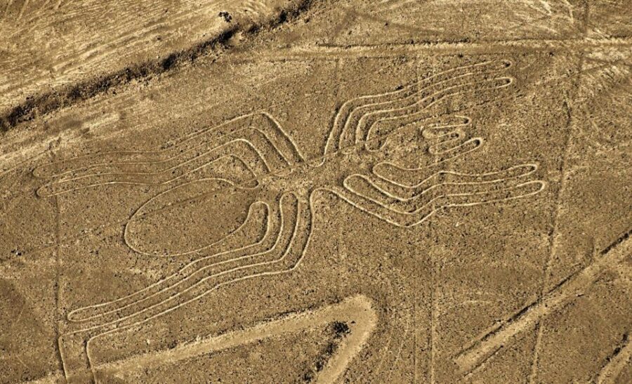 Lima: Ballestas Islands, Winery and Nazca Lines Private Tour - Guides and the Human Factor (Milo Matters)