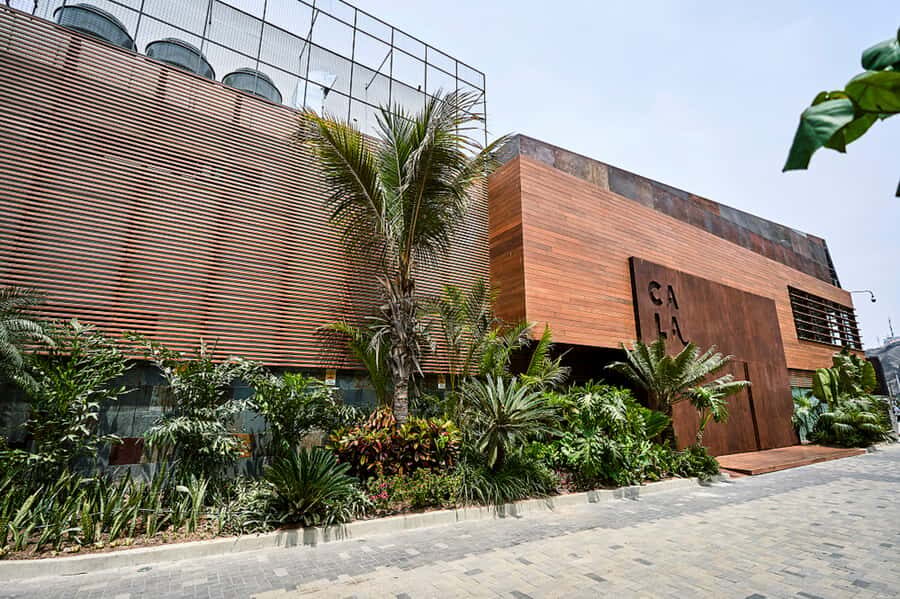 Lima: Demo Cooking Class with Lunch at Cala Restaurant - What you’ll likely enjoy most on the day
