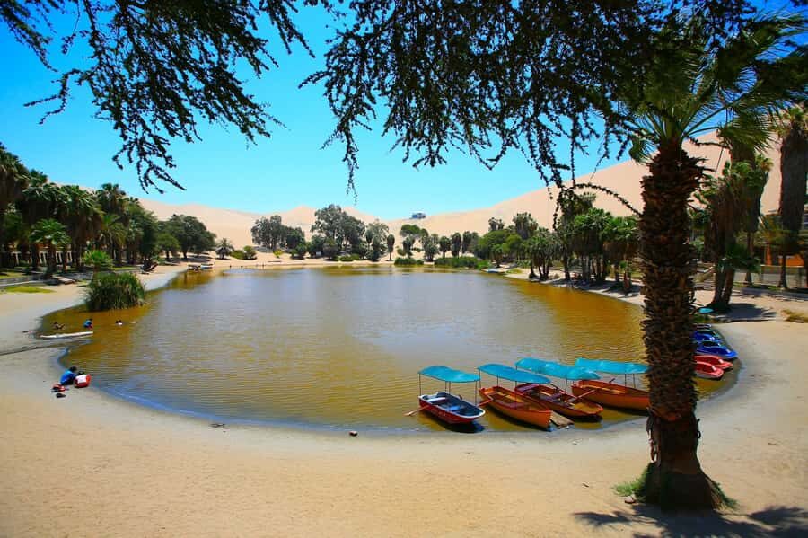 Lima: Huacachina, Winery, & Nazca Lines from Pisco Airport - Who this tour fits best (and who should skip it)