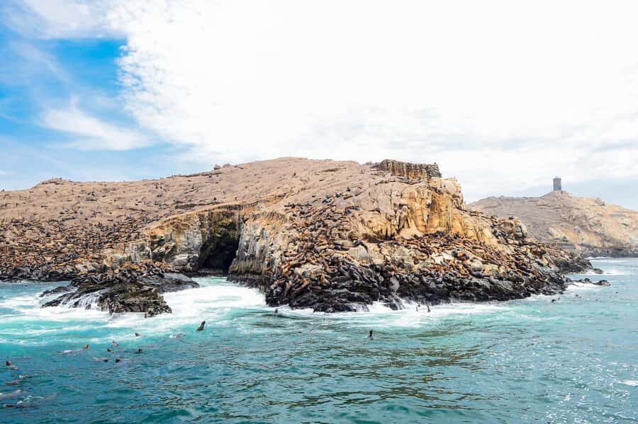 Lima | Islas Palomino Tour | Swim with Sea Lions - Timing, sea conditions, and how to plan your day