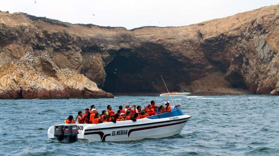 Lima | Islas Palomino Tour | Swim with Sea Lions - Who this tour fits best