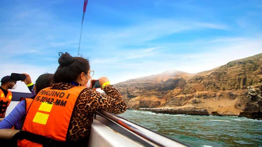 Lima | Islas Palomino Tour | Swim with Sea Lions - Callao bay wildlife: penguins, guano birds, and working waters