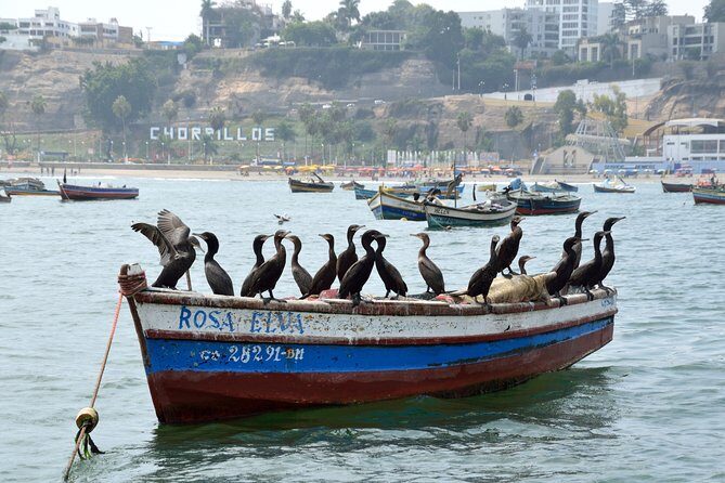 Lima Off the Beaten Path: Local Communities and Cultural Immersion - Guides, Tone, and the Small Details That Make It Work