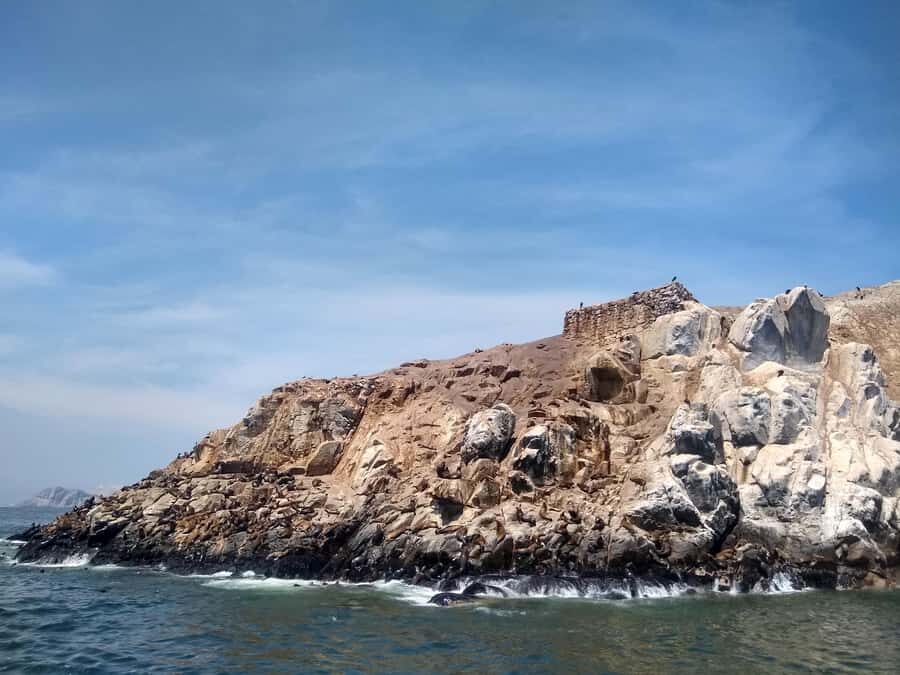 Lima: Palomino Islands Speedboat Tour & Swim with Sea Lions - Who should book this sea lion speedboat tour?